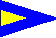 First Substitute flag